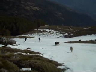 Khumbu & Bruno chasing skiers