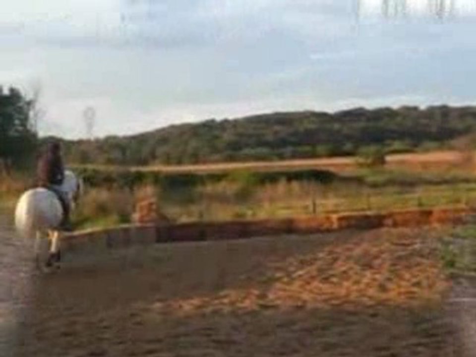 CLIP Marion et ses Chevaux