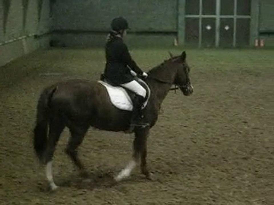 Étrer d'or : Dressage - YouTube