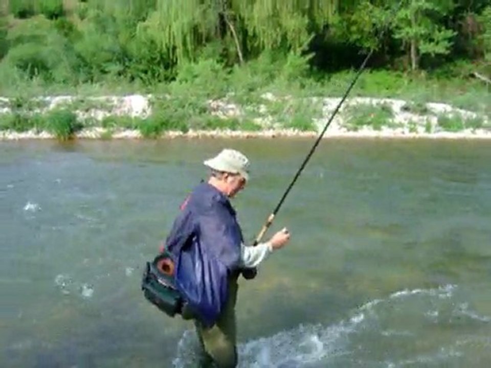 Truite dans un beau courant du tarn
