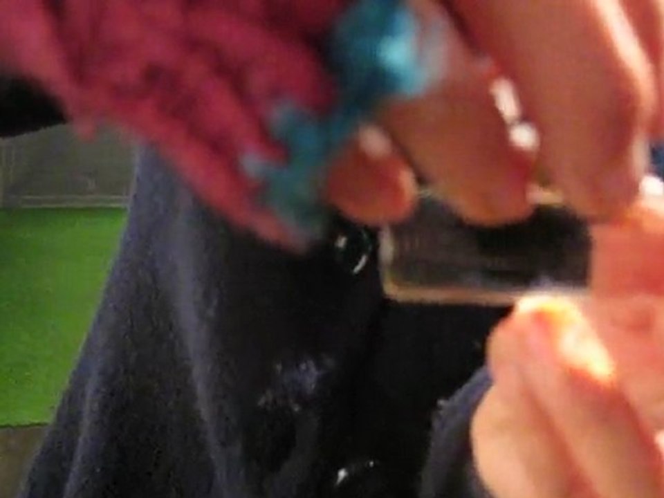 JANVIER 2010