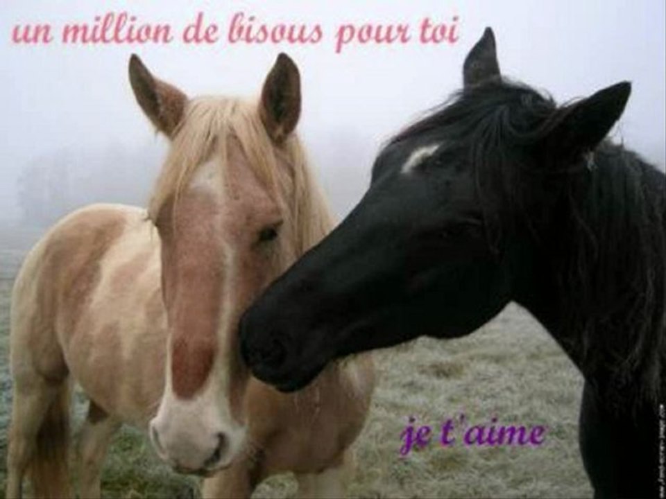 vox angeli j'ai demander a la lune