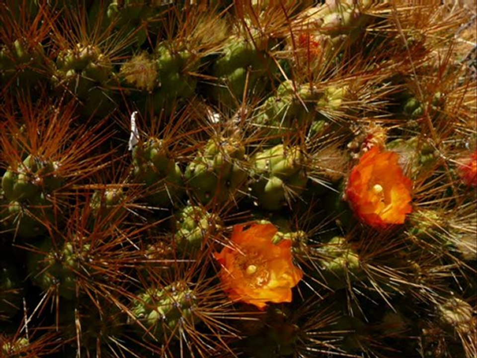 Lac Titicaca avec l'Agence de Voyages TERRES PERUVIENNES
