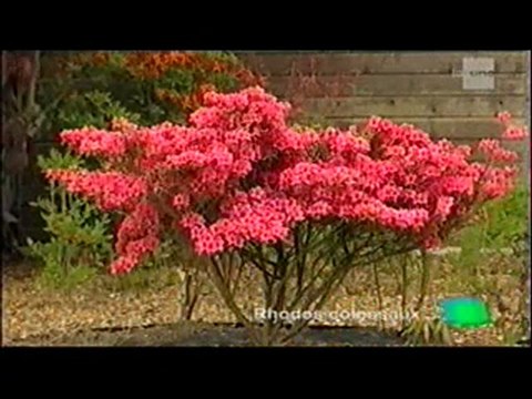 Journées Portes ouvertes chez F Devivier / 2009