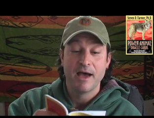 Hawk ~ Animal Spirit Guide of the Day