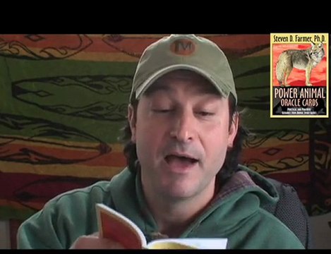 Hawk ~ Animal Spirit Guide of the Day