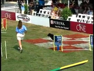 Dog Show: National Finals, Round I, Large Dog Agility Course