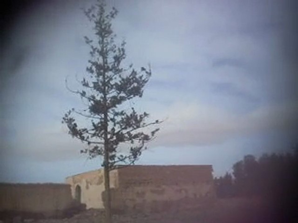 oujda alwali sidi driss