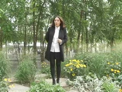 Inter-Continental Toronto Around the Hotel