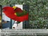 AVIARY BIRD SHOP EXOTIC BIRDS SUPPLIES SUPPLY MIAMI FLORIDA