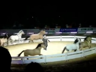 lucien gruss au criniere d or