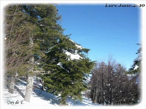 Raquettes à la montagne de Lure -04-