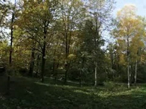 One Year in 90 seconds - Une année en 90 sec.