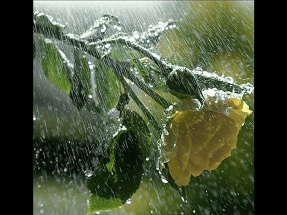 canım annem