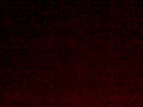 78e Rallye Automobile Monte-Carlo Col du Turini 22Jan2010