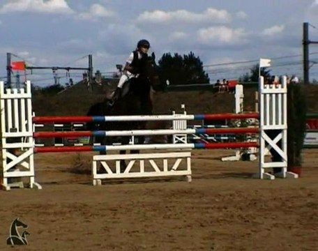 Fête équestre du Perray - 2009