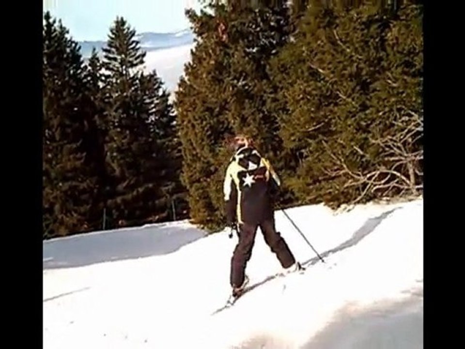 ski