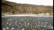 Axe_PlusTenMets_LaPlage