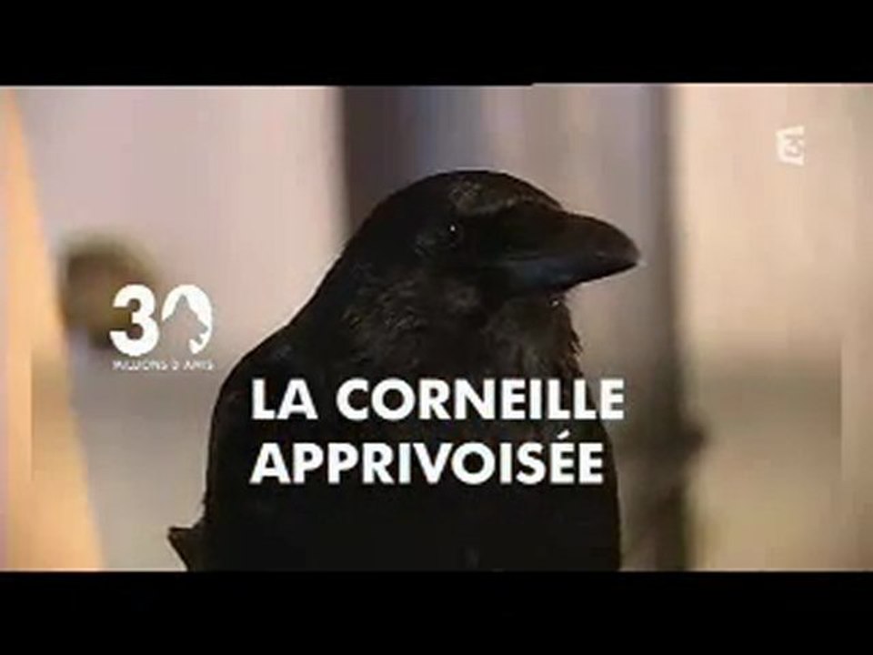 reportage