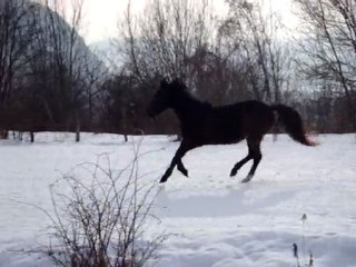 el dirr toujours la patate ...meme a 18 ans
