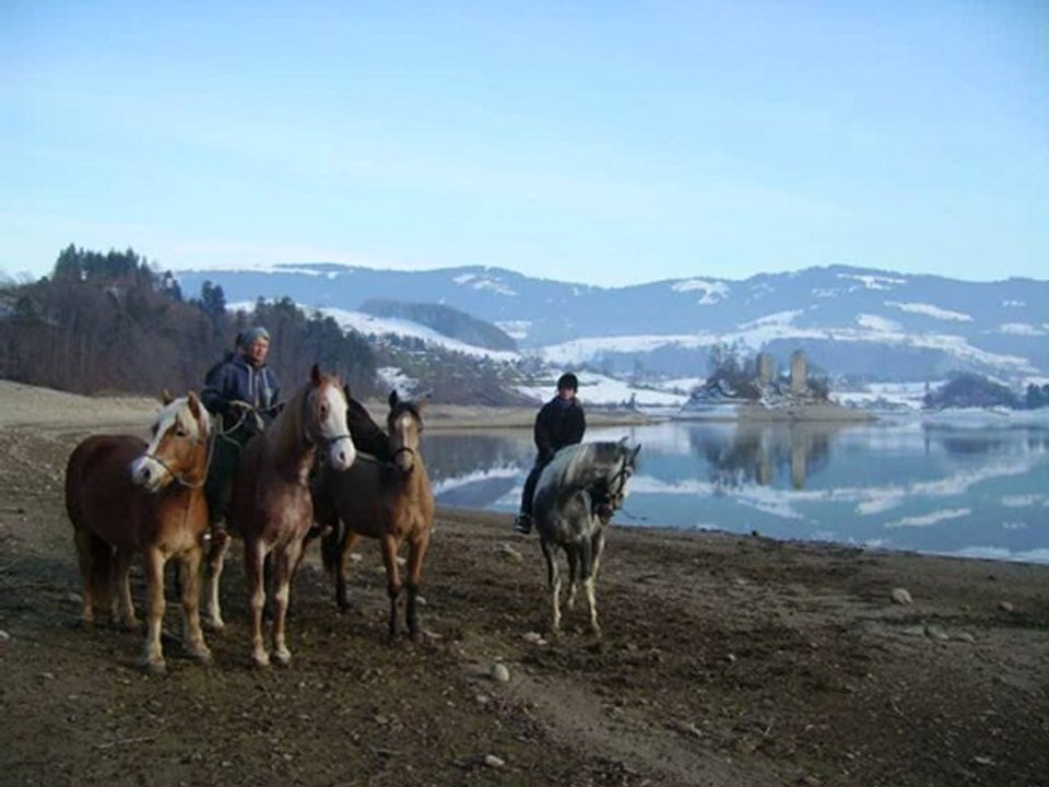balade au lac avec les 5 chevaux