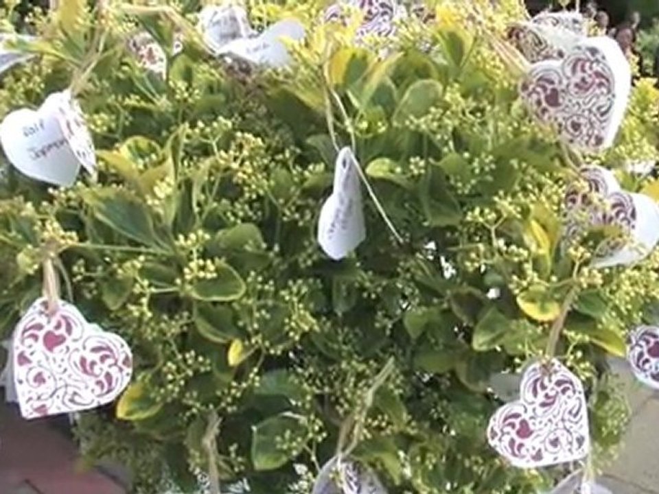 Hochzeitsvideo vom Profi: Der 'Zettelbaum'