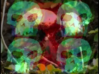 visuel sur track remix de biseartkore r-form