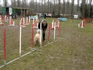 Marie Claude et Clipper