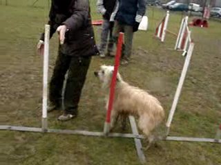 Marie claude et clipper slalom