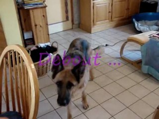 Volga ptite démo d'Obé