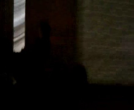 moi qui galope avek rex