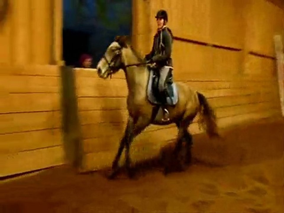 Séance Noémie & Sirène le 23-01-2010