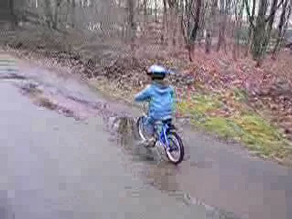 Vélo au bois