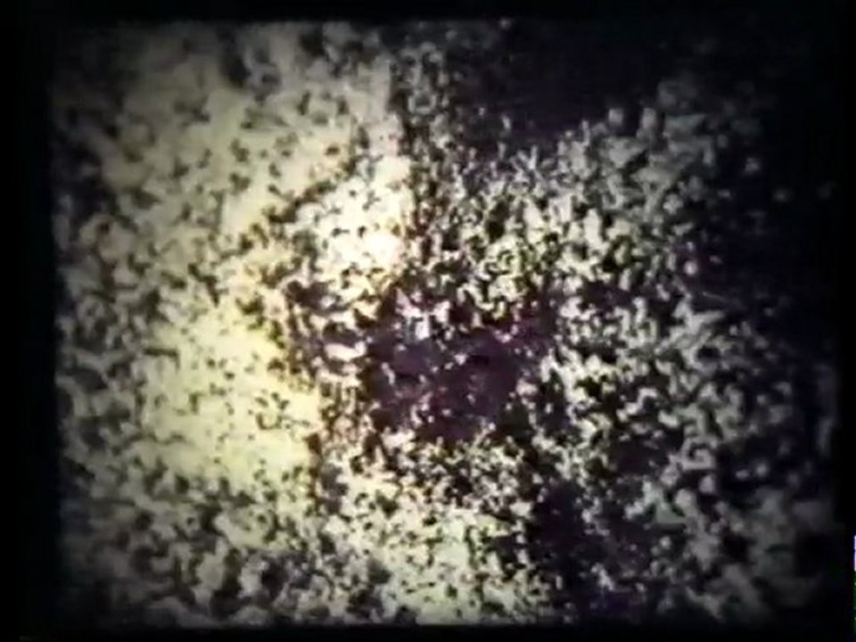 Conrad Schnitzler: Collection A #14 Zwölf Jahre Kur für Mich