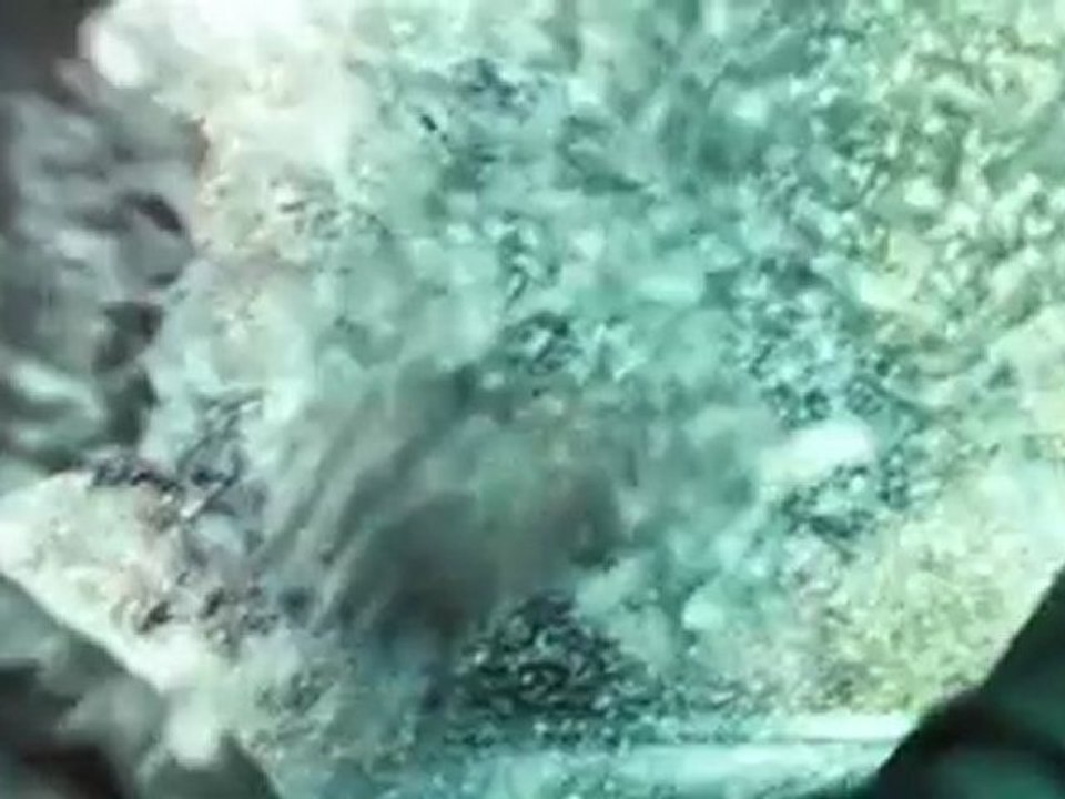 The Crazies (2010) Trailer 3
