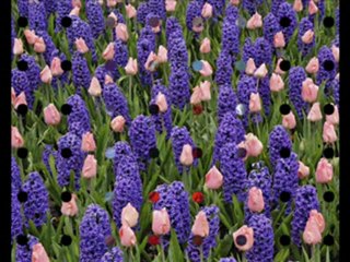 video Hommage pour toi PATRICK SWAYZE