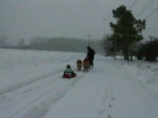 sport d'hiver