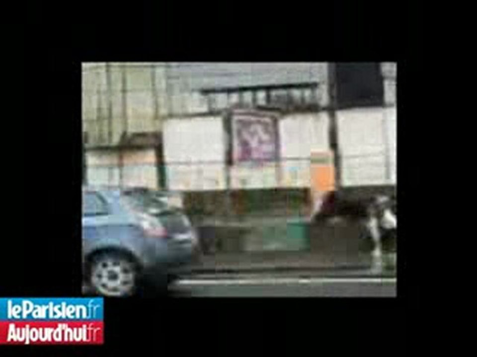 Des poneys en cavale sur l'A4 et le périph parisien