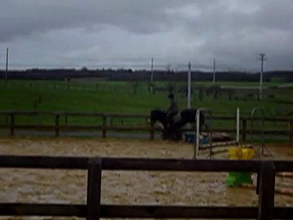 hunter avec dauphin