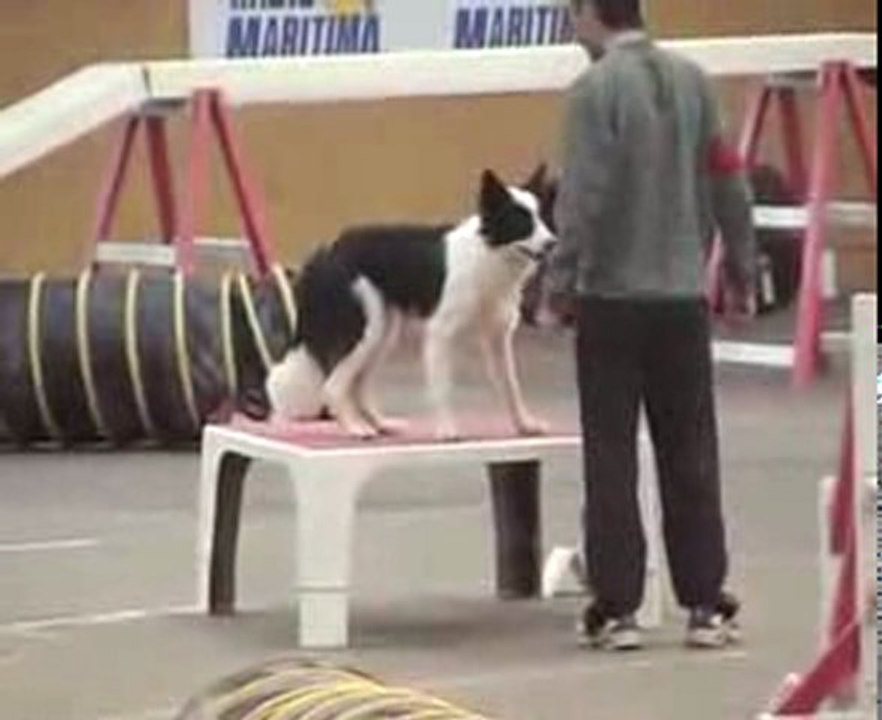 Dailymotion - Gael -