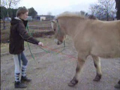 Prince début pas espagnol