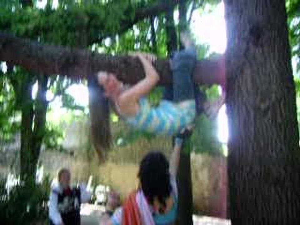 l'arbre