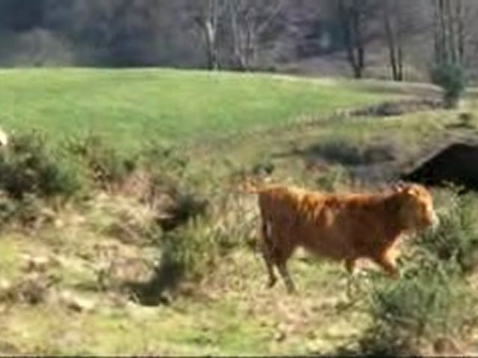 gorospil.moquette.boue.cailloux