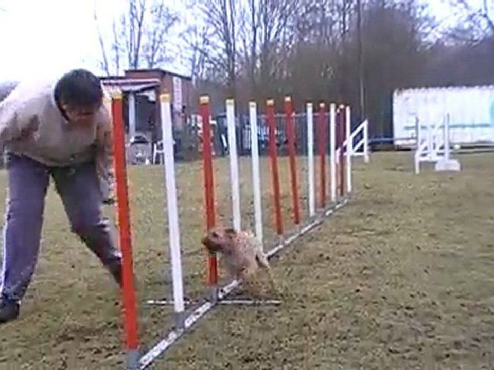 5- emmy slalom
