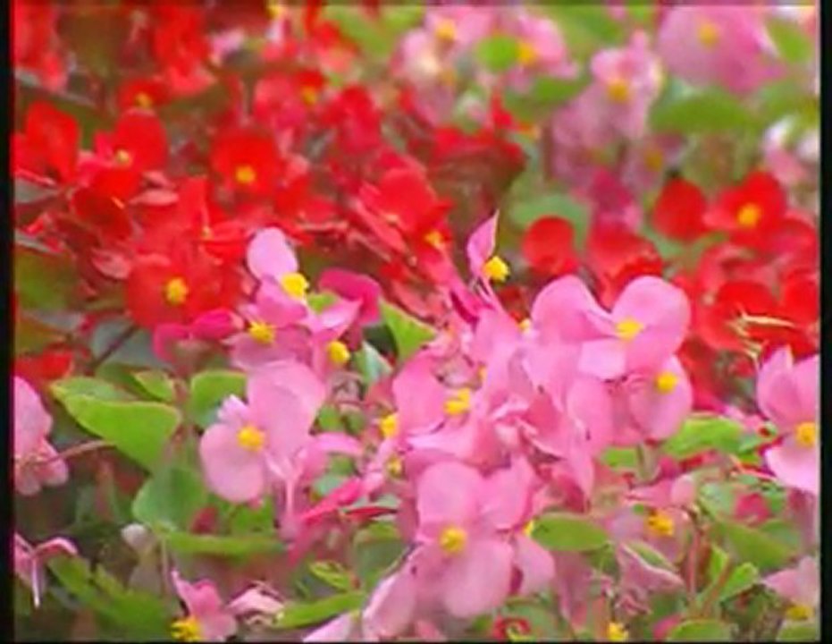 Sultanım - Mustafa Demirci