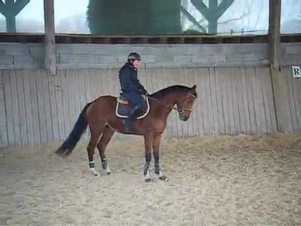 Les progrès de Shannel