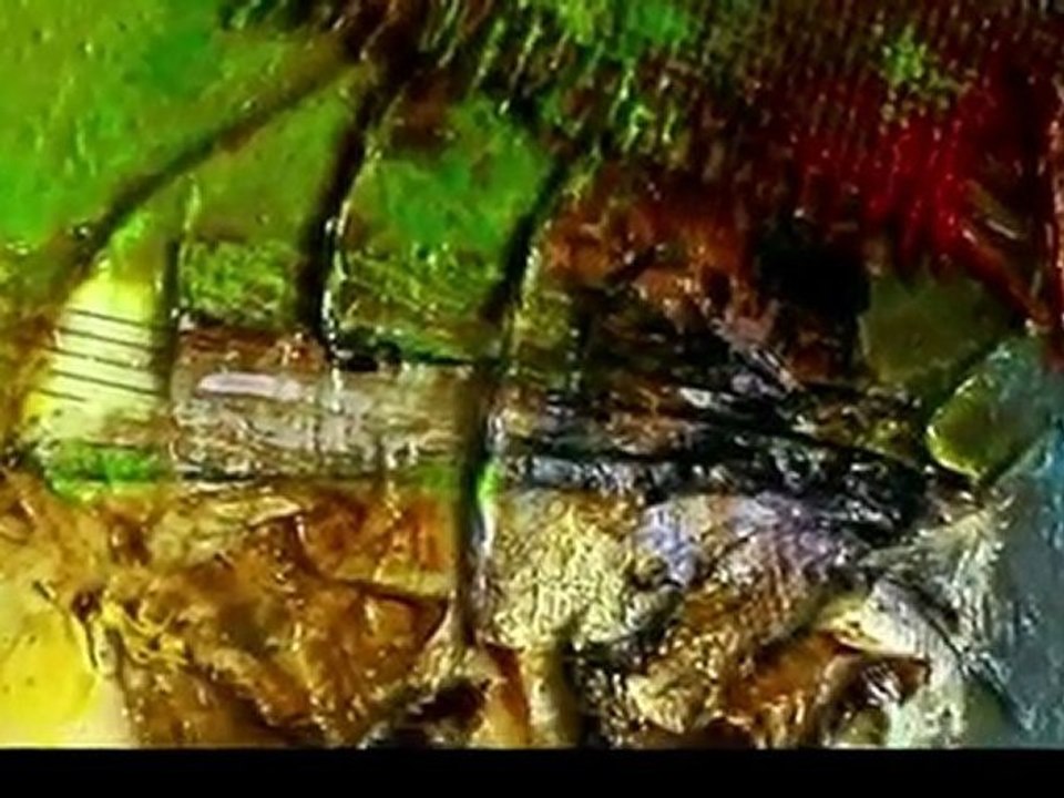 ALEGRA / Artiste contemporain / "Synchromies"