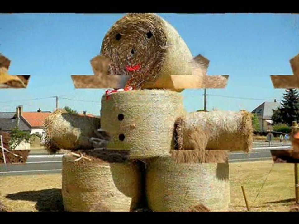 Les merveilles de la nature