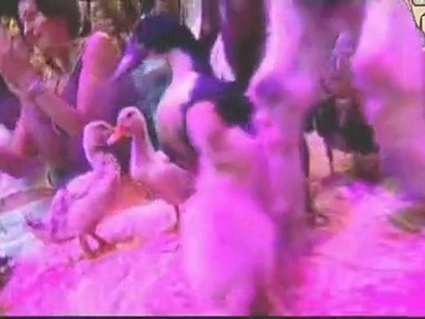 Haifa Wehbe - Bent El Wadi [HD]