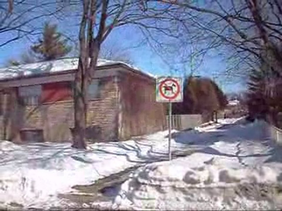 The street i grew up on.